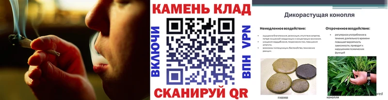 Купить закладки  Дмитров  Гашиш VHQ 