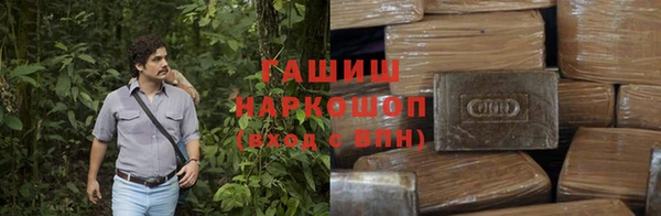 ПСИЛОЦИБИНОВЫЕ ГРИБЫ Елабуга