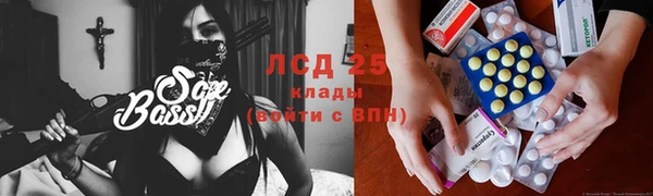 ПСИЛОЦИБИНОВЫЕ ГРИБЫ Елабуга