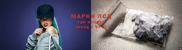 ПСИЛОЦИБИНОВЫЕ ГРИБЫ Елабуга