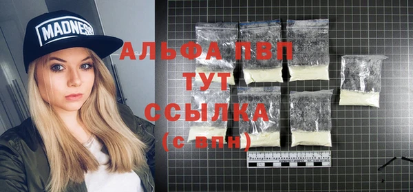 ПСИЛОЦИБИНОВЫЕ ГРИБЫ Елабуга