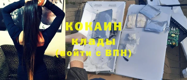 ПСИЛОЦИБИНОВЫЕ ГРИБЫ Елабуга