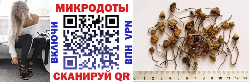 Галлюциногенные грибы прущие грибы  Купить  Дмитров 