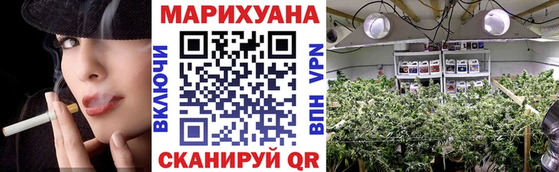 Шишки марихуана VHQ  Купить где  Дмитров 
